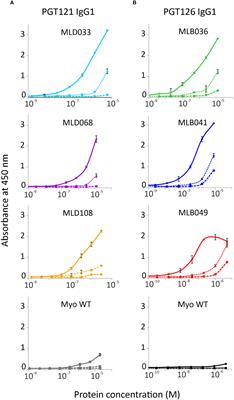 Myomedin replicas of gp120 V3 loop glycan epitopes recognized by PGT121 and PGT126 antibodies as non-cognate antigens for stimulation of HIV-1 broadly neutralizing antibodies